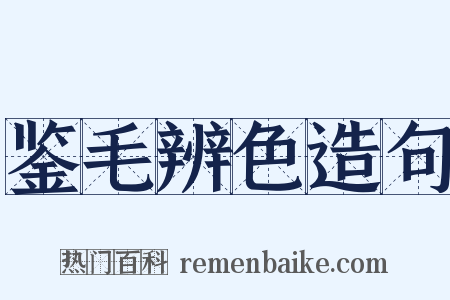 鉴毛辨色造句是什么意思的图片